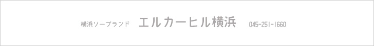 �G���J�[�q�����l