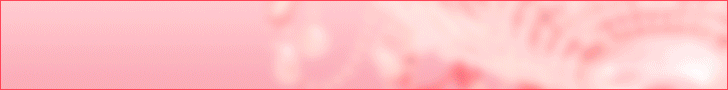 �M�����Y�l�b�g���[�N���s