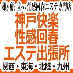 �_�ˉ��y������t�G�X�e�o����