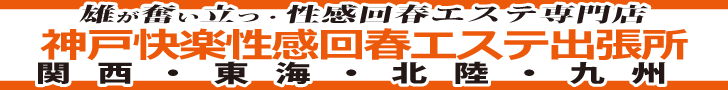 �_�ˉ��y������t�G�X�e�o����
