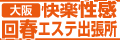 �����y������t�G�X�e�o����