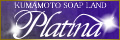 �v���`�i