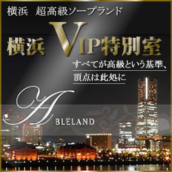 VIP���ʎ�