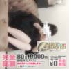 ＡＤＵＬＴ★ＢＬＡＣＫＣＡＴ