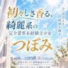 つぼみ