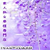 藤本(ふじもと)
