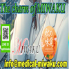 medical play 魅惑