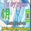 medical play 魅惑